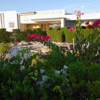 фото из отзыва ID 2690003