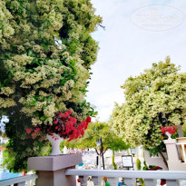 фото из отзыва ID 2690006