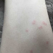 фото из отзыва ID 2690016