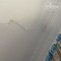 фото из отзыва ID 2690016