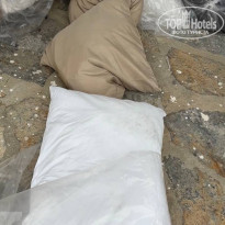 фото из отзыва ID 2690016