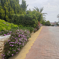 фото из отзыва ID 2690062