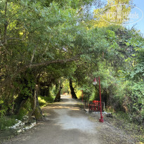 фото из отзыва ID 2690131