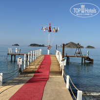 фото из отзыва ID 2690131