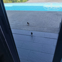 фото из отзыва ID 2690008