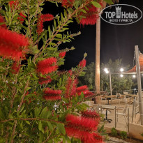 фото из отзыва ID 2690290