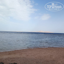 фото из отзыва ID 2690296