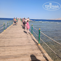 фото из отзыва ID 2690296