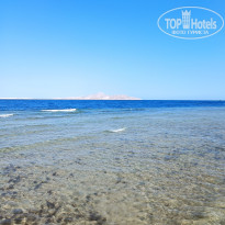 фото из отзыва ID 2690296