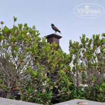 фото из отзыва ID 2690434