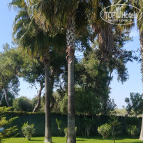 фото из отзыва ID 2690524