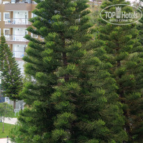 фото из отзыва ID 2690524