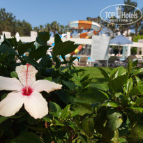 фото из отзыва ID 2690544