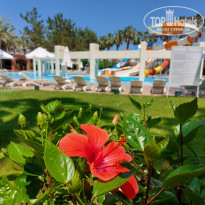 фото из отзыва ID 2690544