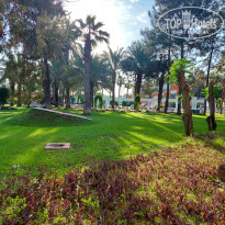 фото из отзыва ID 2690544