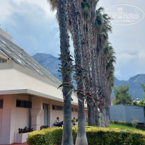 фото из отзыва ID 2690544