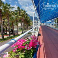 фото из отзыва ID 2690544