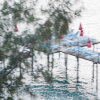 фото из отзыва ID 2690231