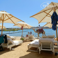 фото из отзыва ID 2690584