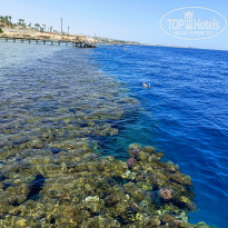 фото из отзыва ID 2690584