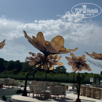 фото из отзыва ID 2690658