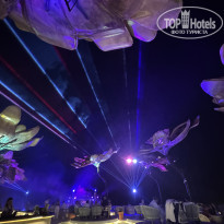 фото из отзыва ID 2690658