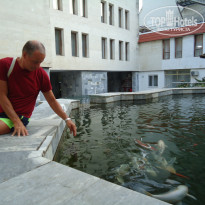 фото из отзыва ID 2690646