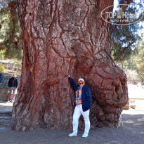 фото из отзыва ID 2690679