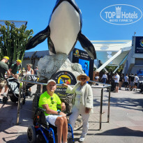 фото из отзыва ID 2690679