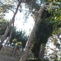 фото из отзыва ID 2690231