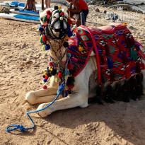 фото из отзыва ID 2690742