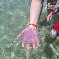 фото из отзыва ID 2690808