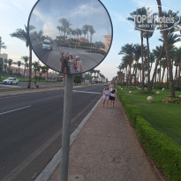 фото из отзыва ID 2690808