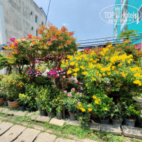 фото из отзыва ID 2690838