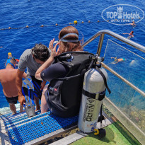 фото из отзыва ID 2690860