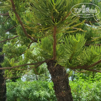 фото из отзыва ID 2690870