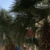 фото из отзыва ID 2690876