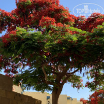 фото из отзыва ID 2690876