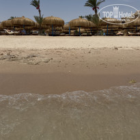 фото из отзыва ID 2690876