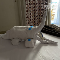 фото из отзыва ID 2690876