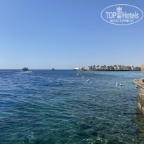 фото из отзыва ID 2690876