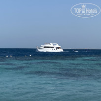 фото из отзыва ID 2690876