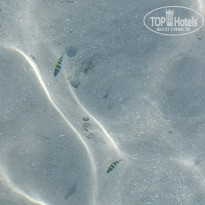 фото из отзыва ID 2690938