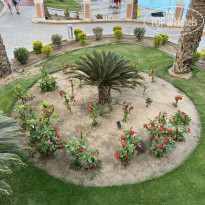 фото из отзыва ID 2690973