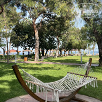 фото из отзыва ID 2690992