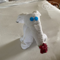 фото из отзыва ID 2690999