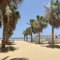 фото из отзыва ID 2690999