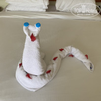 фото из отзыва ID 2690999