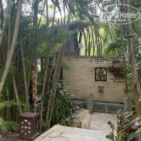 фото из отзыва ID 2691000