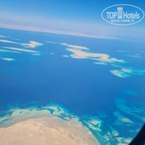 фото из отзыва ID 2691018